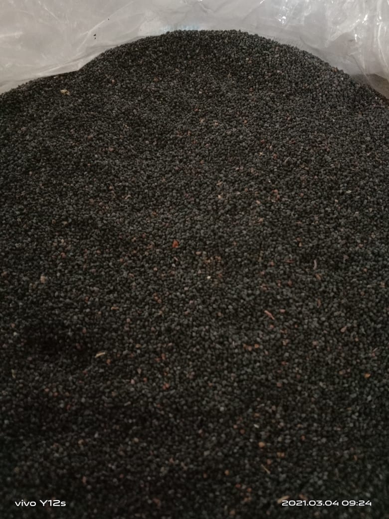 Read more about the article Jinten Lokal