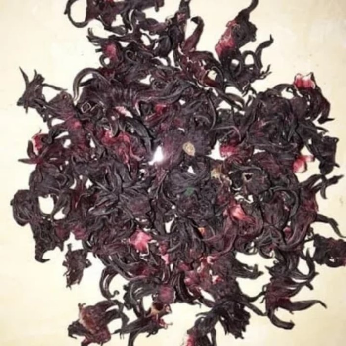 Read more about the article Rosella Ungu