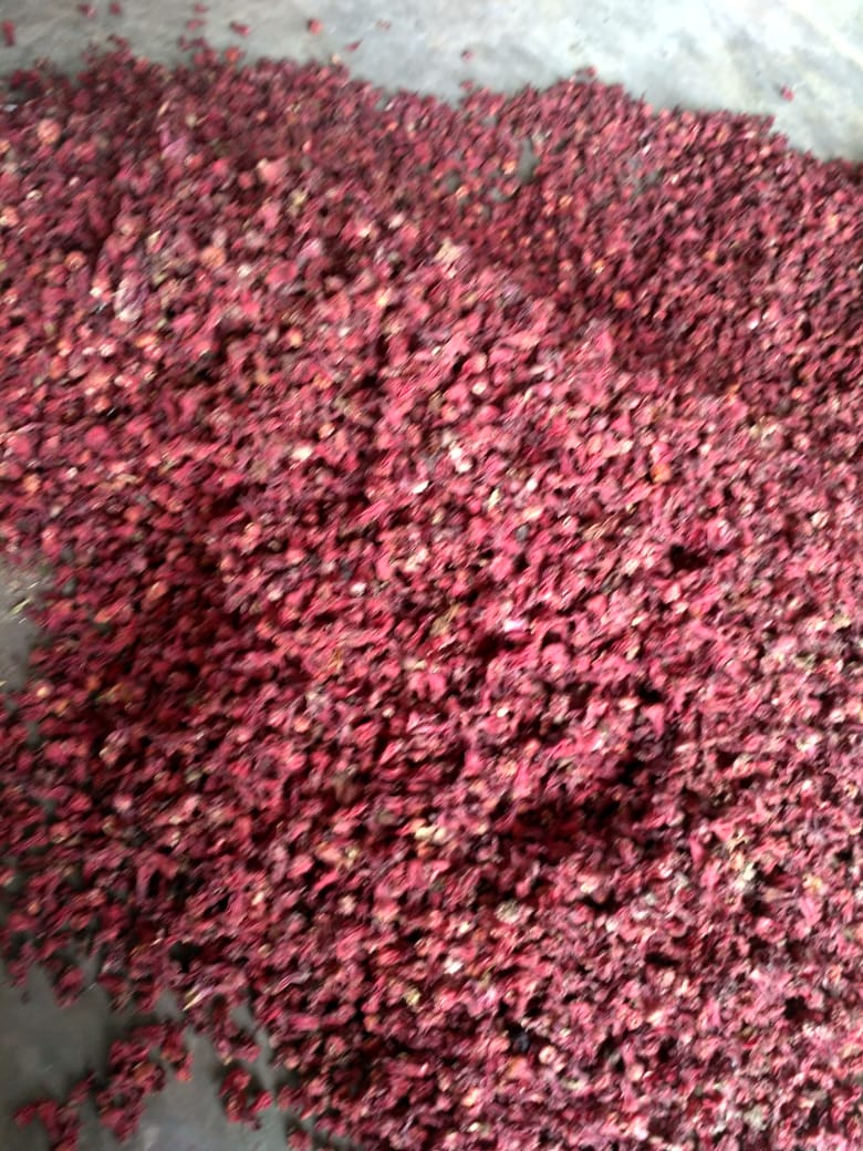 Read more about the article Rosella Merah