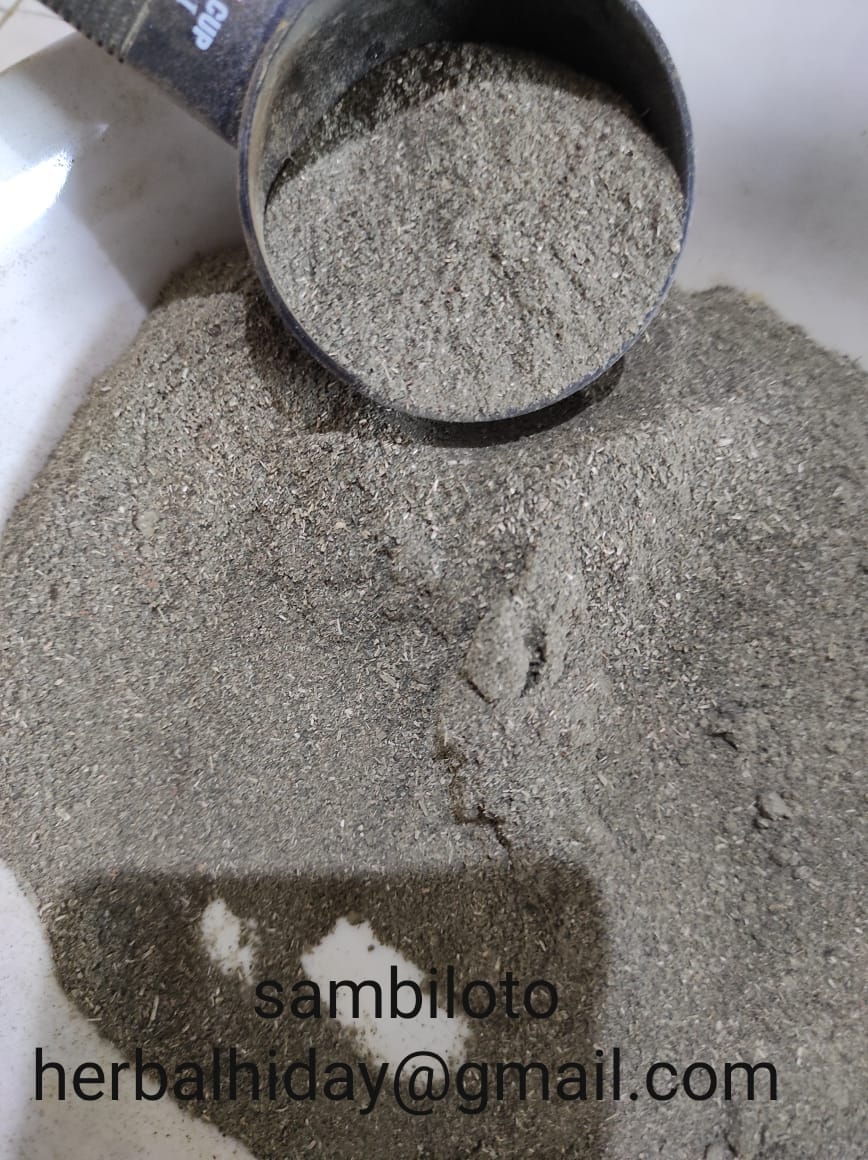 Read more about the article Bubuk Sambiloto