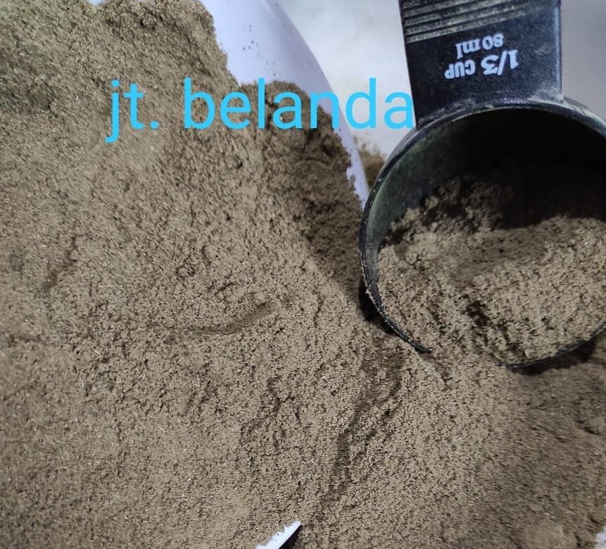 Read more about the article Bubuk Daun Jati Belanda