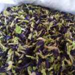 Bunga telang kering bahan herbal